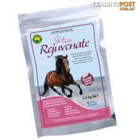 EQUINE VIT & MIN- REJUVENATE