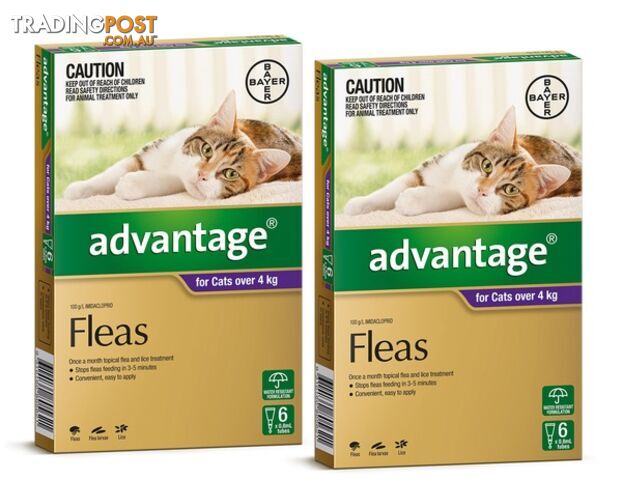 ADVANTAGE FOR CATS OVER 4KG (PURPLE) - photo 3 of 3