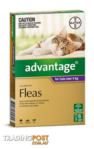 ADVANTAGE FOR CATS OVER 4KG (PURPLE) - photo 2 of 3