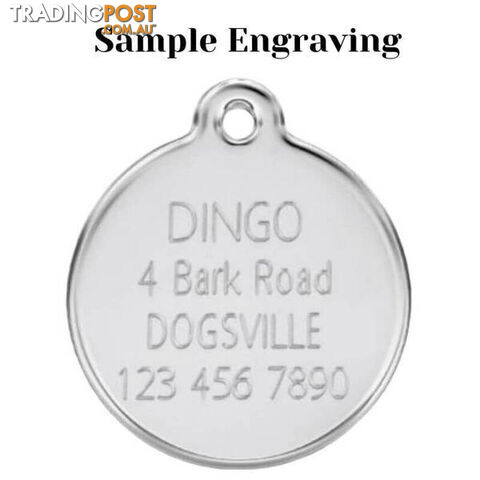 RED DINGO STAINLESS STEEL DOG FACE TAG - LIFETIME - photo 3 of 4