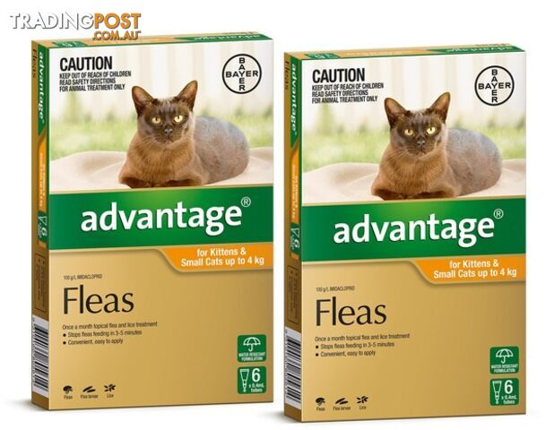 ADVANTAGE FOR KITTENS AND SMALL CATS UP TO 4KG (OR - photo 3 of 3