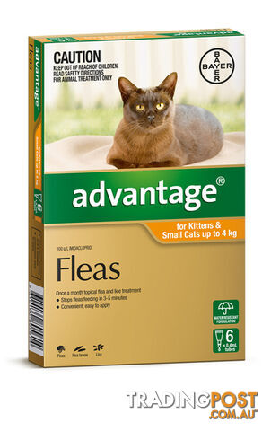 ADVANTAGE FOR KITTENS AND SMALL CATS UP TO 4KG (OR - photo 2 of 3