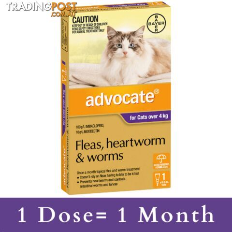 ADVOCATE FOR CATS OVER 4KG (PURPLE) - FLEAS, HEART