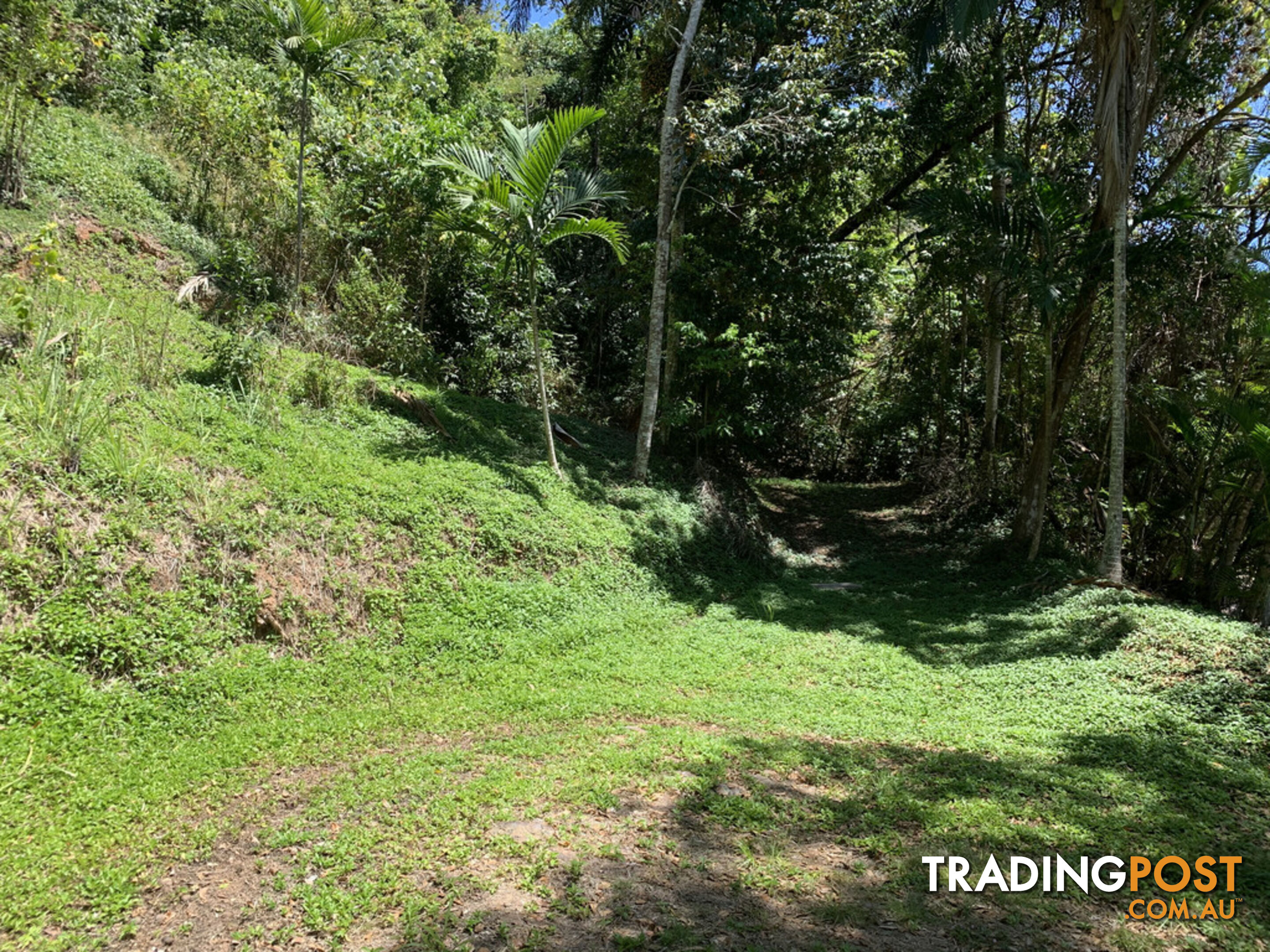 1549 Mossman Daintree Road WONGA BEACH QLD 4873