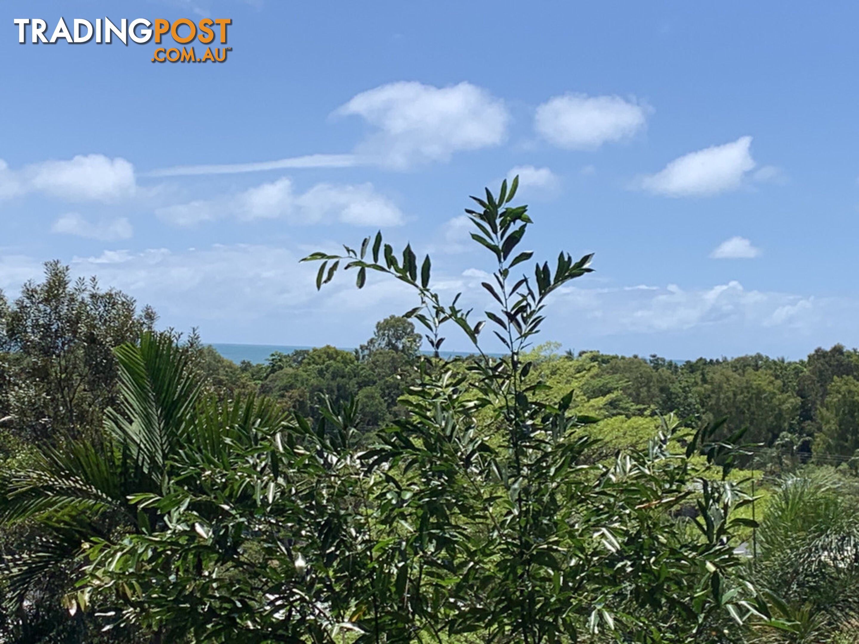 1549 Mossman Daintree Road WONGA BEACH QLD 4873