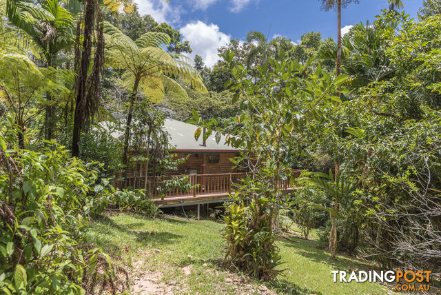 58 Maple Road, Cow Bay DAINTREE QLD 4873