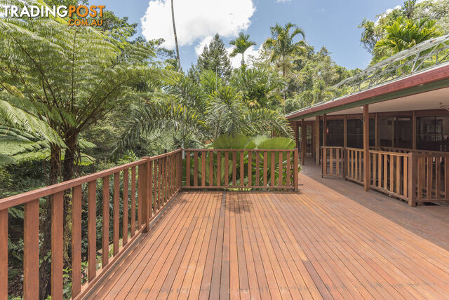 58 Maple Road, Cow Bay DAINTREE QLD 4873