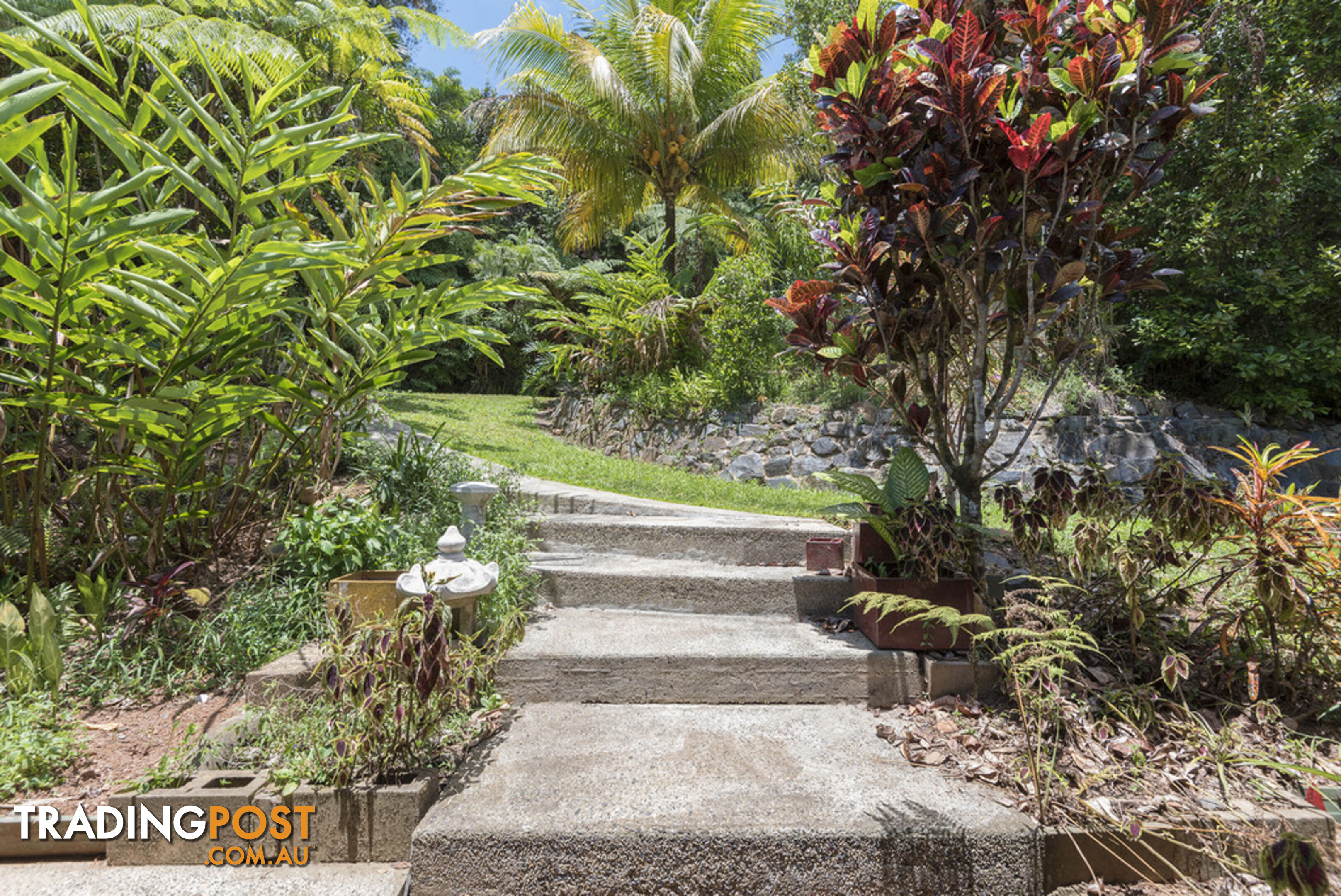 58 Maple Road, Cow Bay DAINTREE QLD 4873