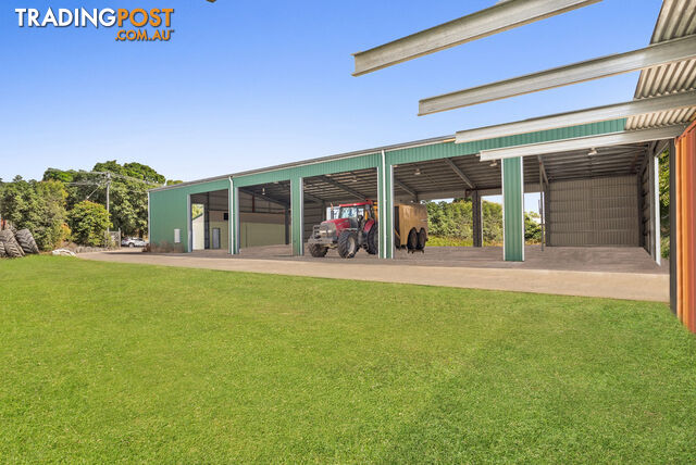 62 Pringle Street MOSSMAN QLD 4873