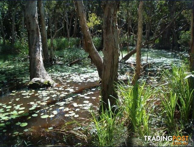 Lot 3 Euluma Creek Road JULATTEN QLD 4871