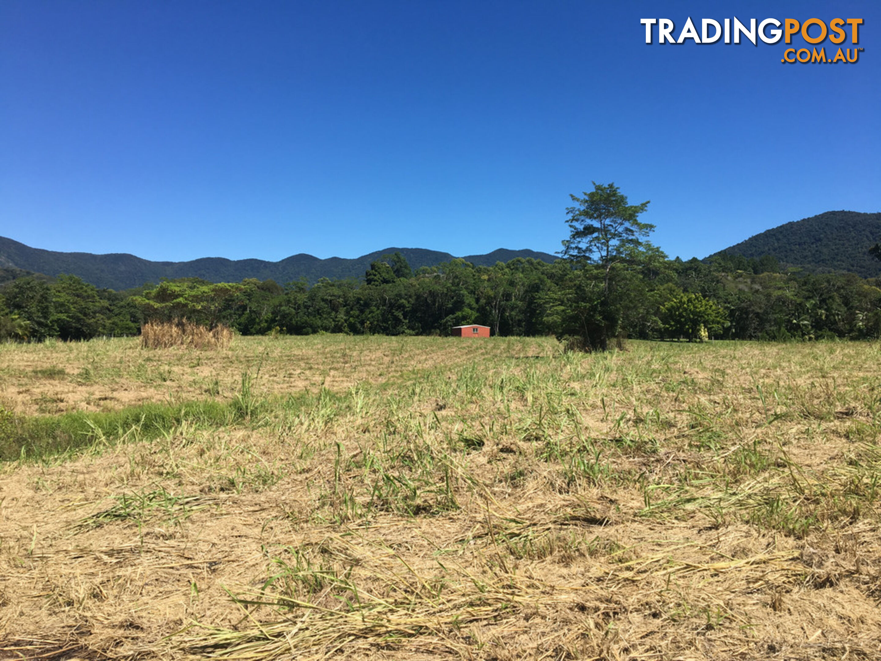 1734 Mossman-Mt Molloy Road JULATTEN QLD 4871