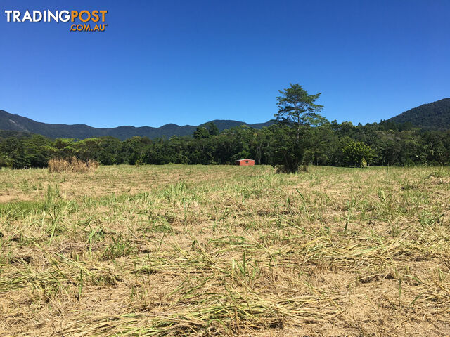 1734 Mossman-Mt Molloy Road JULATTEN QLD 4871