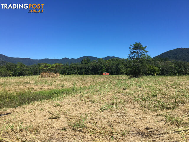 1734 Mossman-Mt Molloy Road JULATTEN QLD 4871