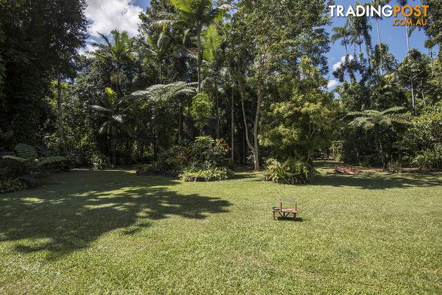 82 Hickory Road, Cow Bay DAINTREE QLD 4873