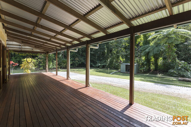 82 Hickory Road, Cow Bay DAINTREE QLD 4873