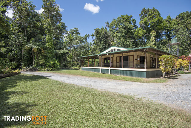 82 Hickory Road, Cow Bay DAINTREE QLD 4873