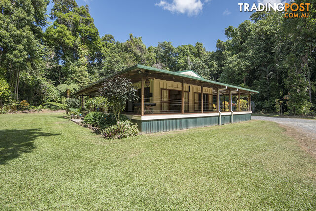 82 Hickory Road, Cow Bay DAINTREE QLD 4873