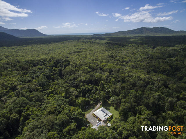 82 Hickory Road, Cow Bay DAINTREE QLD 4873