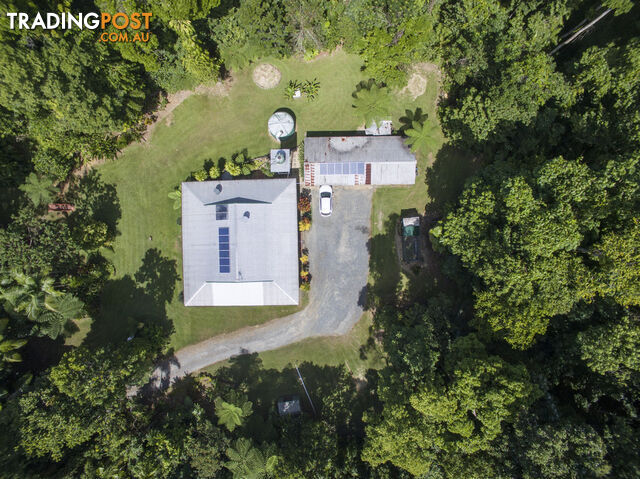 82 Hickory Road, Cow Bay DAINTREE QLD 4873