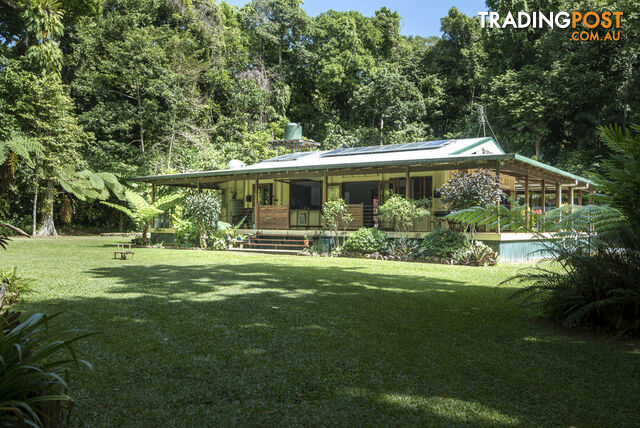 82 Hickory Road, Cow Bay DAINTREE QLD 4873