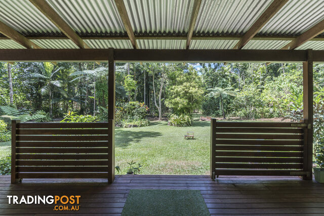 82 Hickory Road, Cow Bay DAINTREE QLD 4873