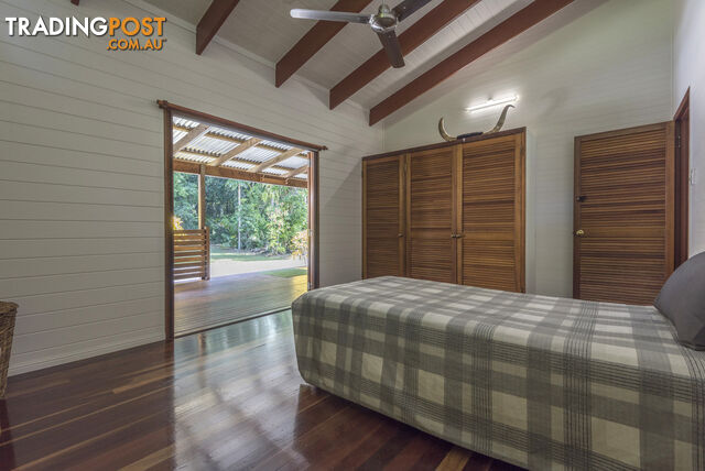 82 Hickory Road, Cow Bay DAINTREE QLD 4873