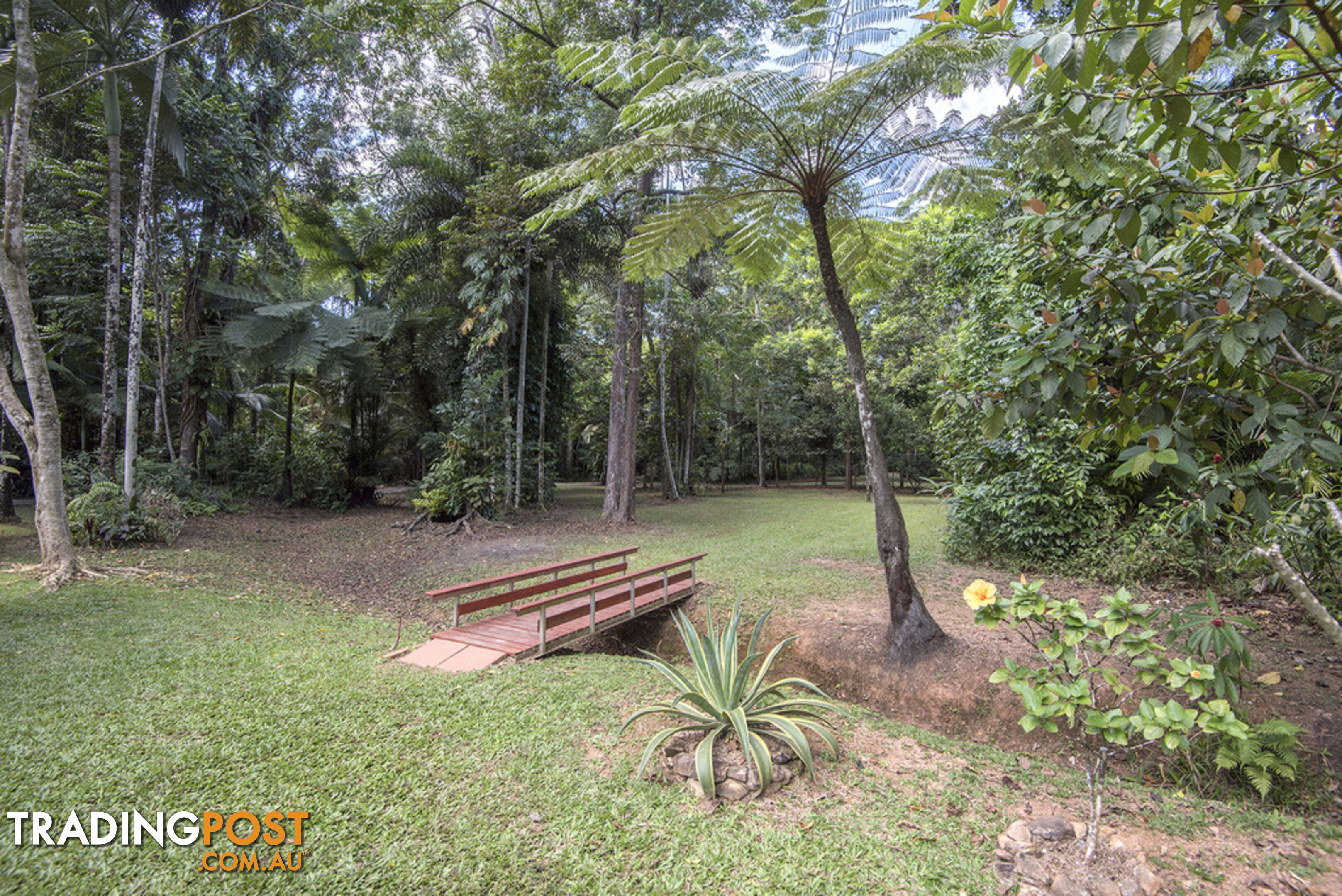 82 Hickory Road, Cow Bay DAINTREE QLD 4873