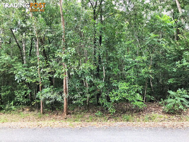 Lot 176 Quandong Road, Cow Bay DAINTREE QLD 4873