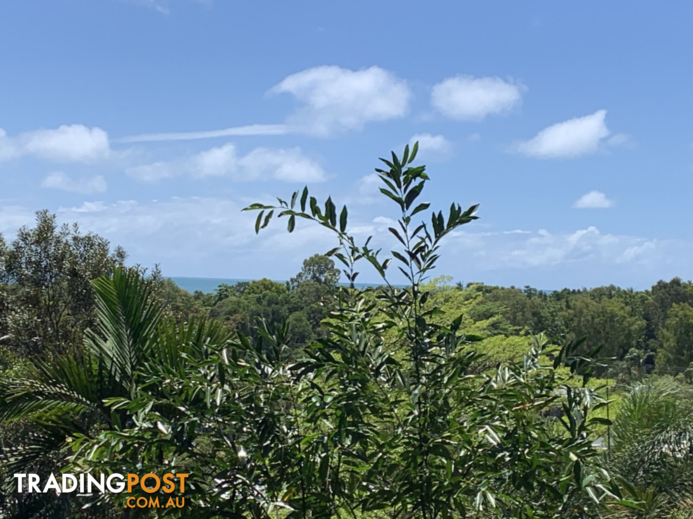 1549 Mossman Daintree Road WONGA BEACH QLD 4873