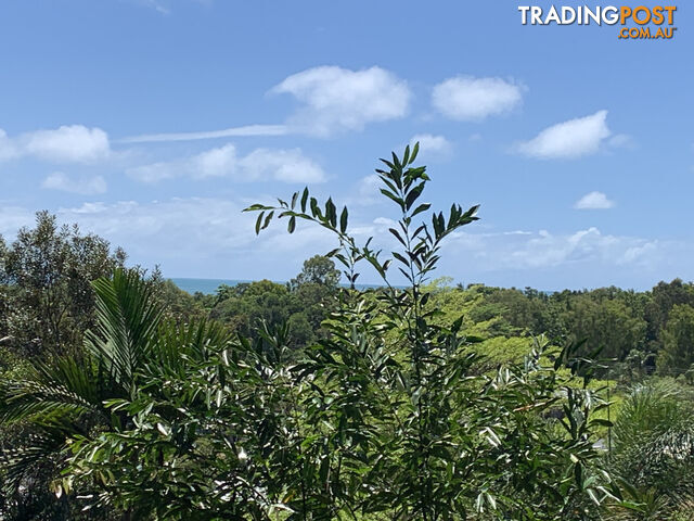 1549 Mossman Daintree Road WONGA BEACH QLD 4873