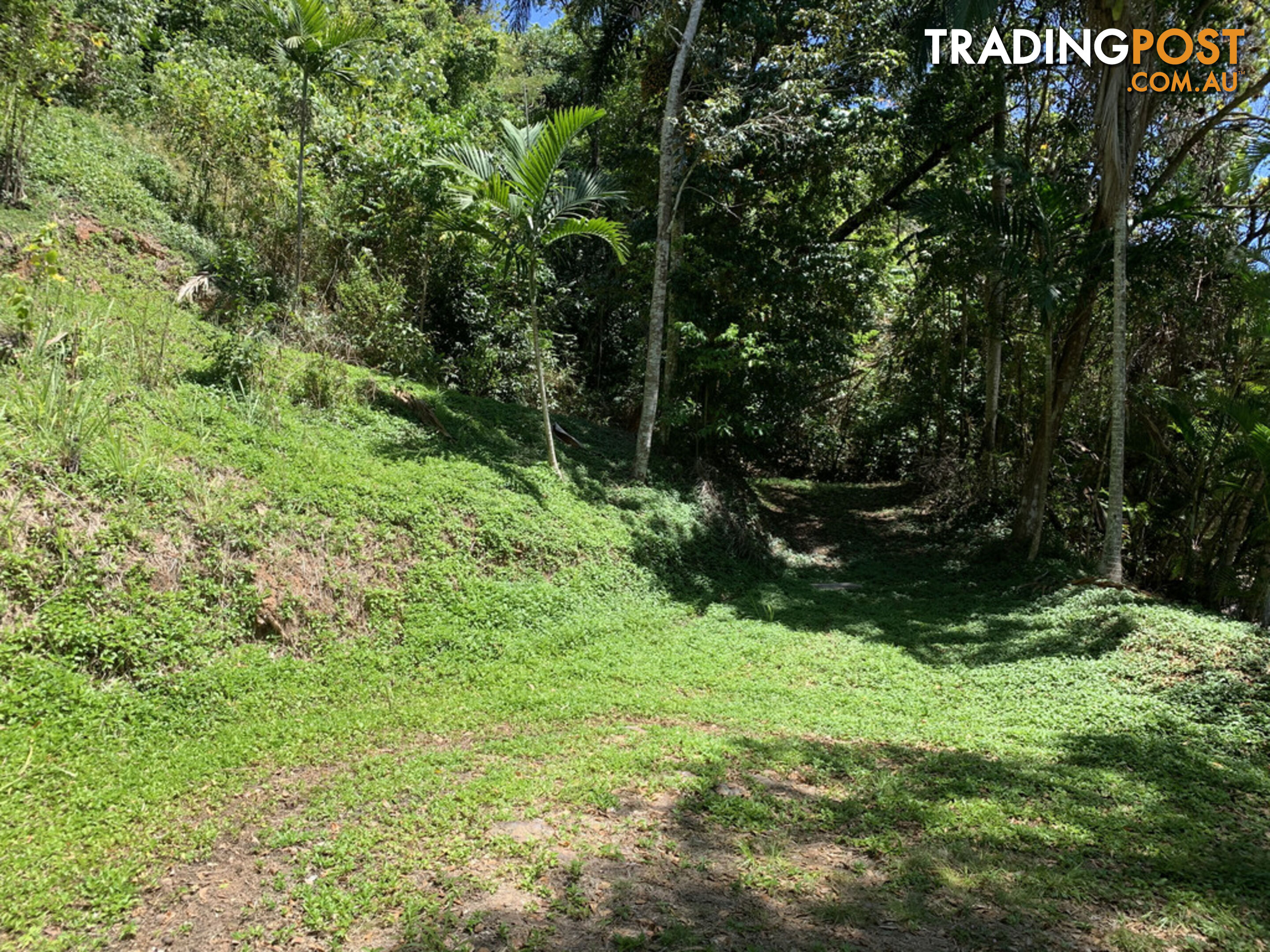 1549 Mossman Daintree Road WONGA BEACH QLD 4873