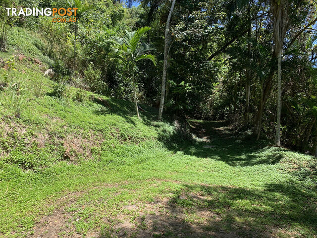 1549 Mossman Daintree Road WONGA BEACH QLD 4873