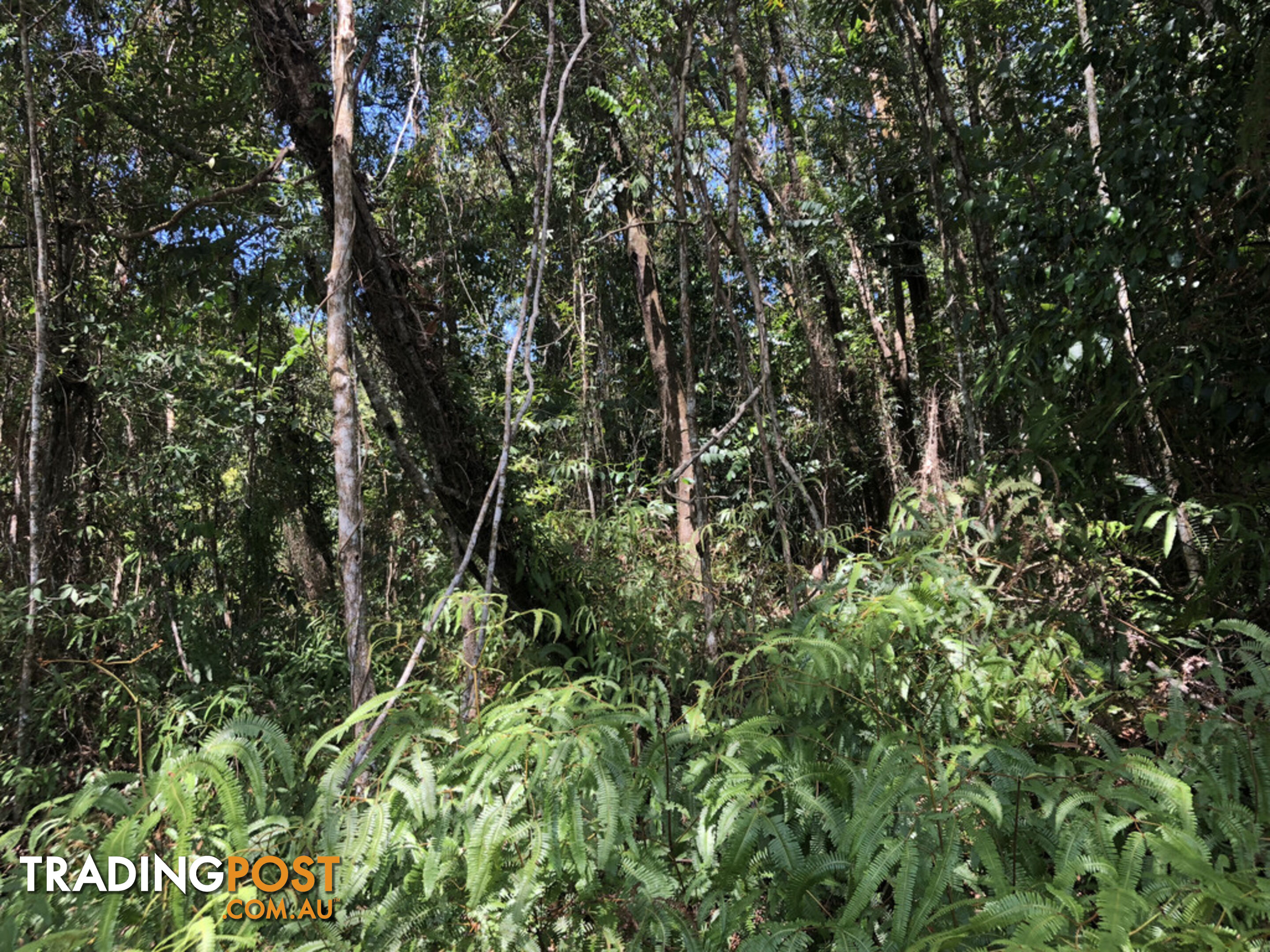 Lot 3 Bamboo Creek Road BAMBOO QLD 4873