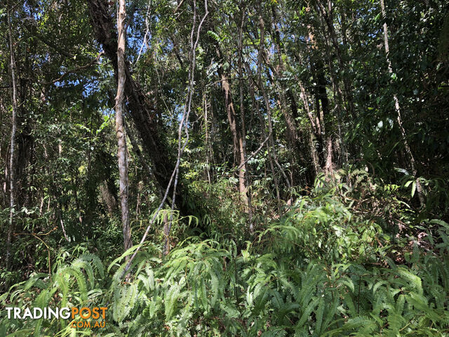 Lot 3 Bamboo Creek Road BAMBOO QLD 4873