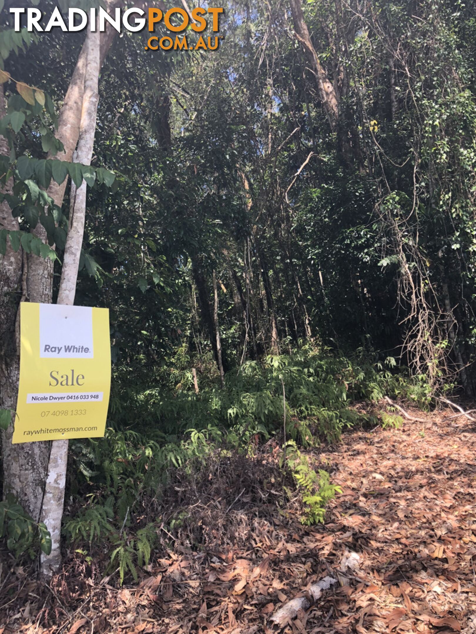 Lot 3 Bamboo Creek Road BAMBOO QLD 4873