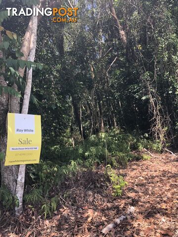 Lot 3 Bamboo Creek Road BAMBOO QLD 4873