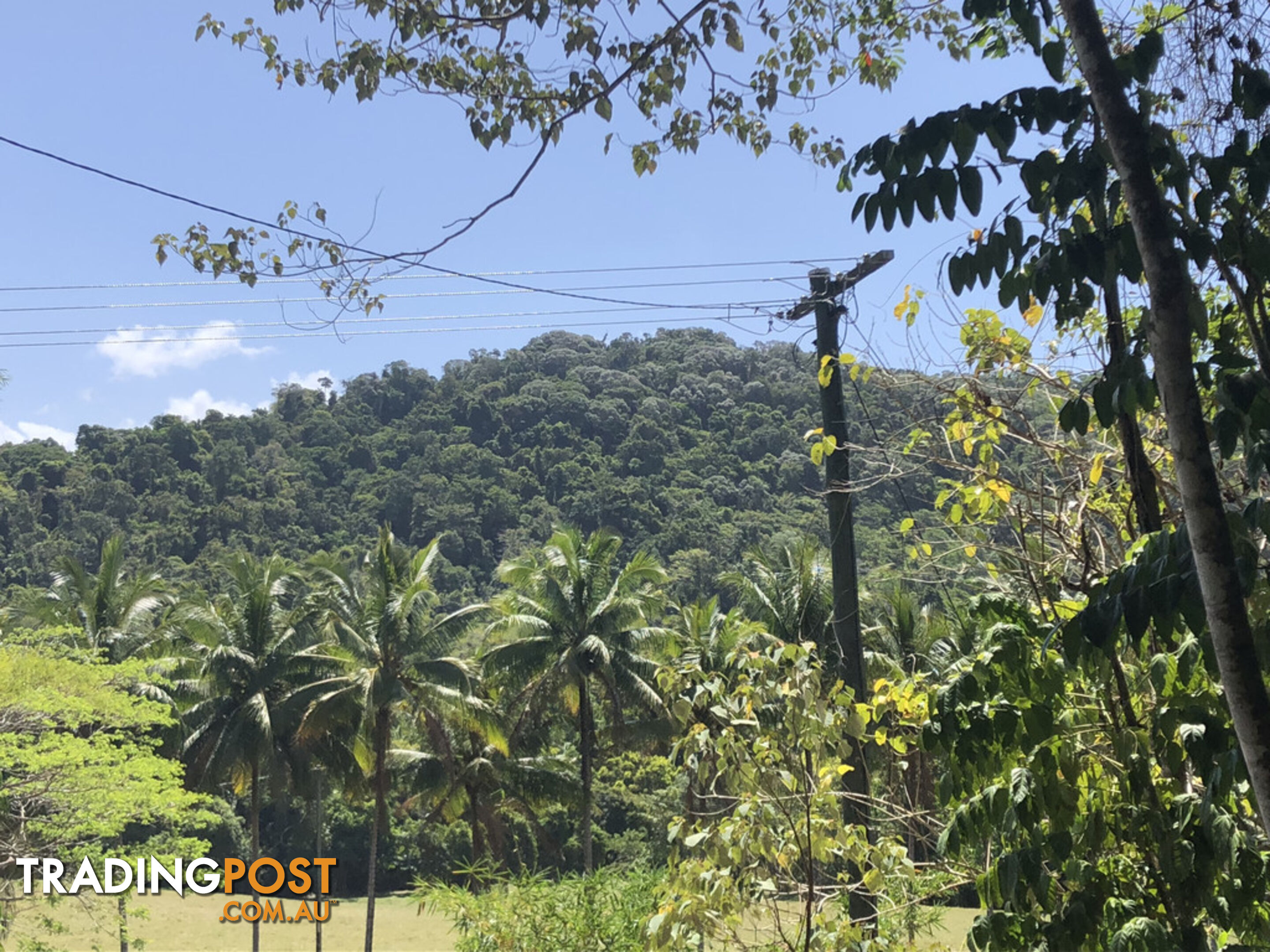 Lot 3 Bamboo Creek Road BAMBOO QLD 4873