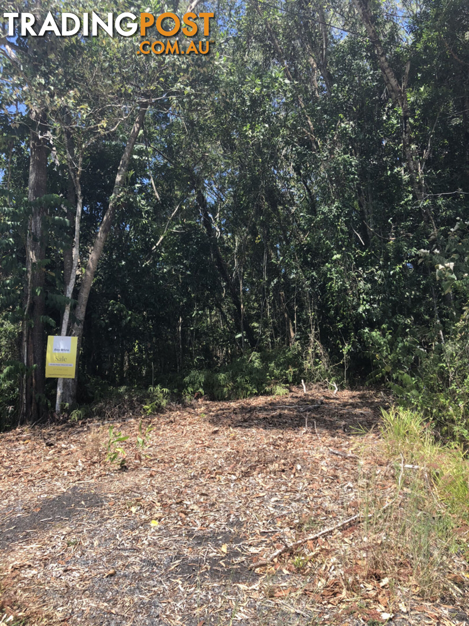 Lot 3 Bamboo Creek Road BAMBOO QLD 4873