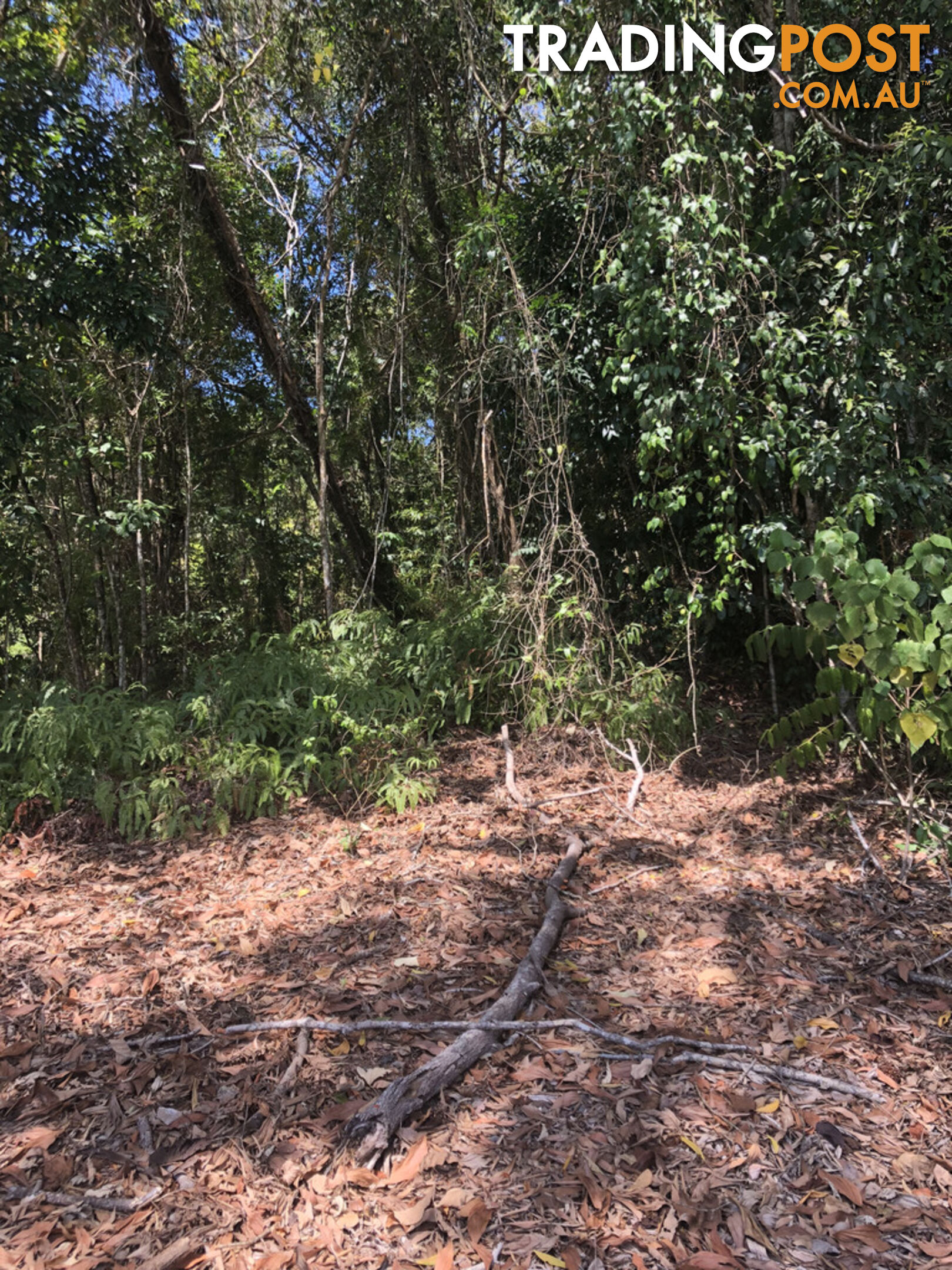 Lot 3 Bamboo Creek Road BAMBOO QLD 4873