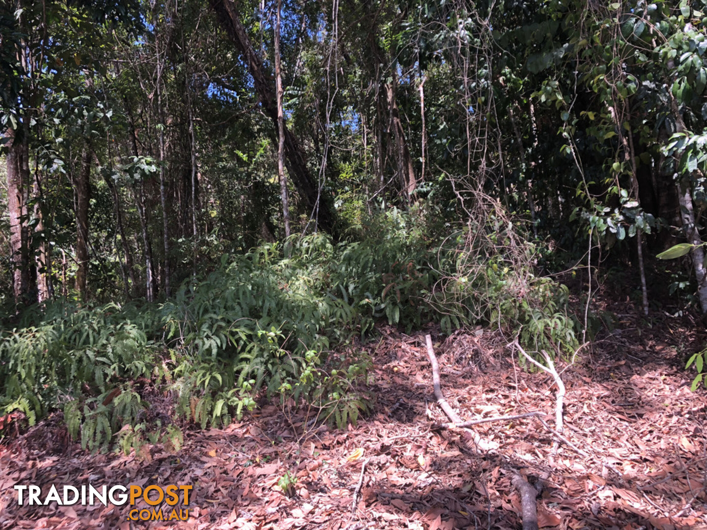 Lot 3 Bamboo Creek Road BAMBOO QLD 4873