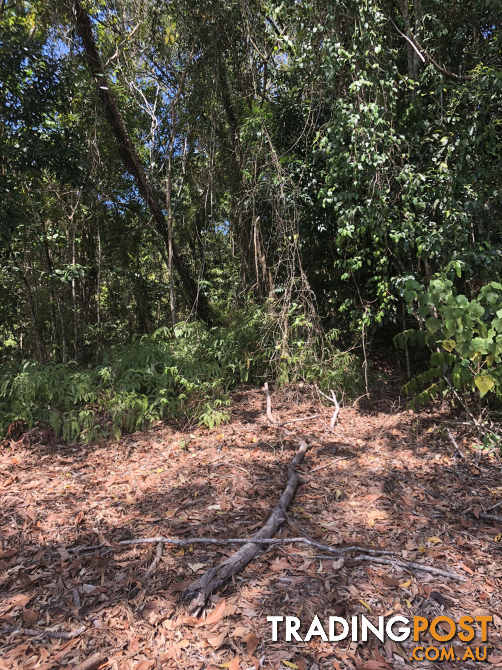 Lot 3 Bamboo Creek Road BAMBOO QLD 4873