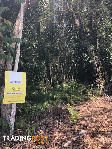 Lot 3 Bamboo Creek Road BAMBOO QLD 4873