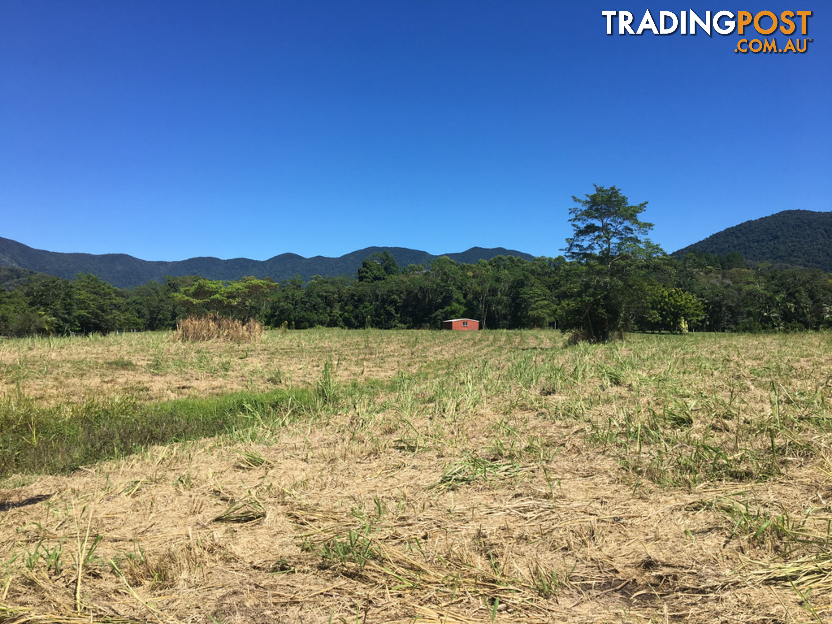 1734 Mossman-Mt Molloy Road JULATTEN QLD 4871