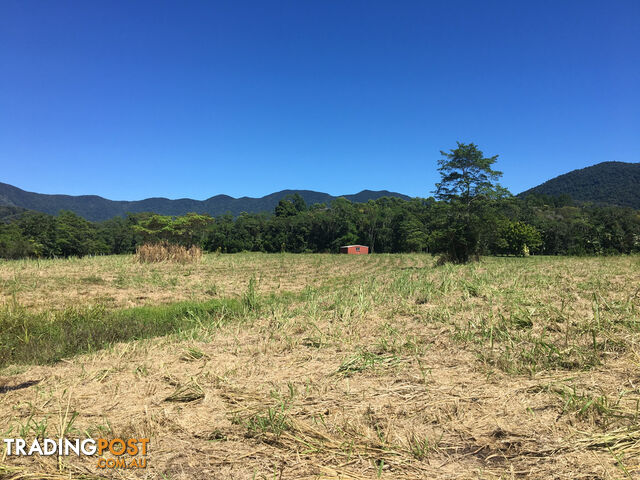 1734 Mossman-Mt Molloy Road JULATTEN QLD 4871