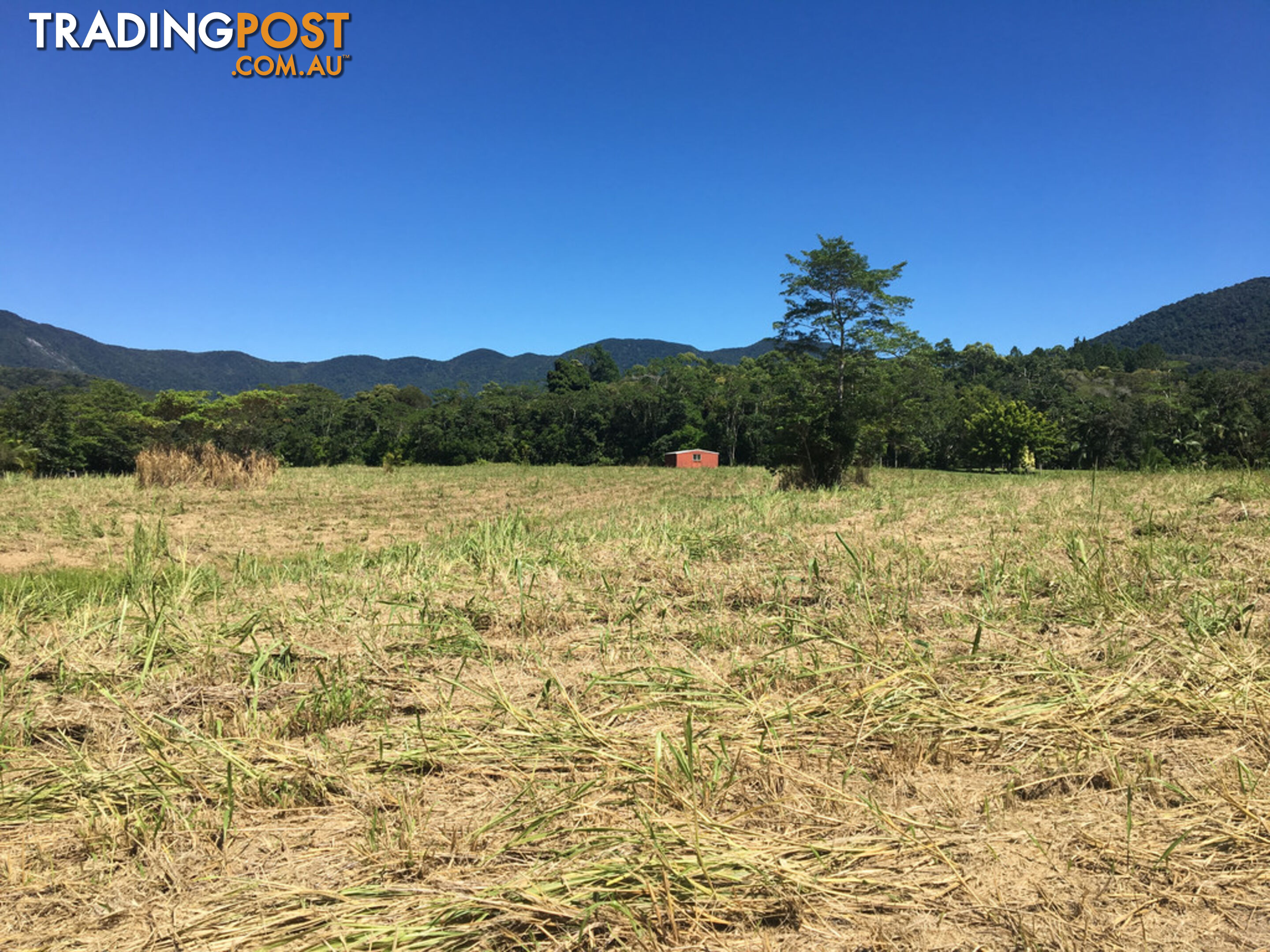 1734 Mossman-Mt Molloy Road JULATTEN QLD 4871