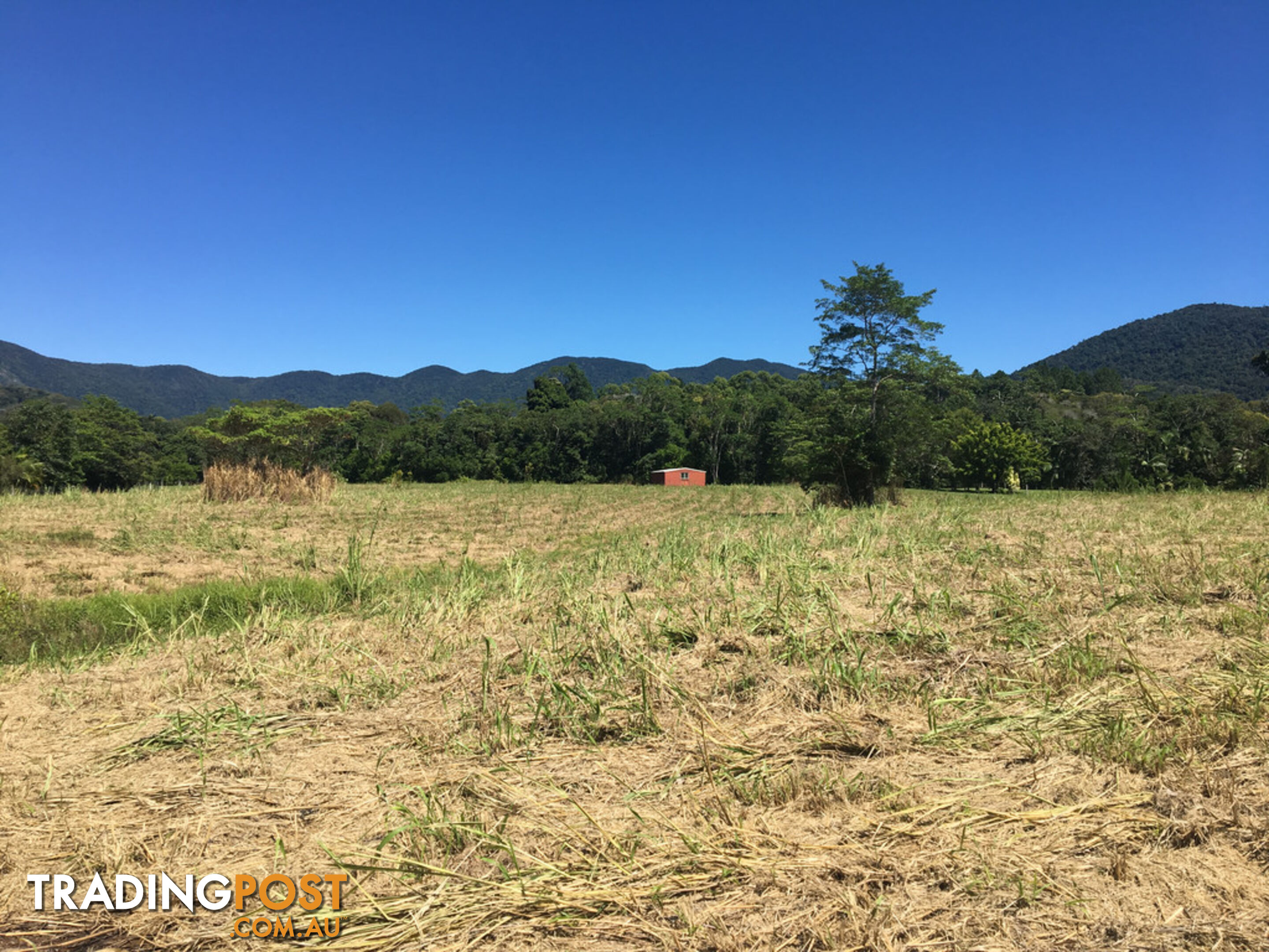 1734 Mossman-Mt Molloy Road JULATTEN QLD 4871