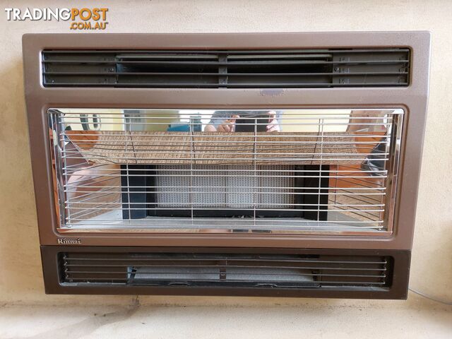 Rinnai flued gas heater