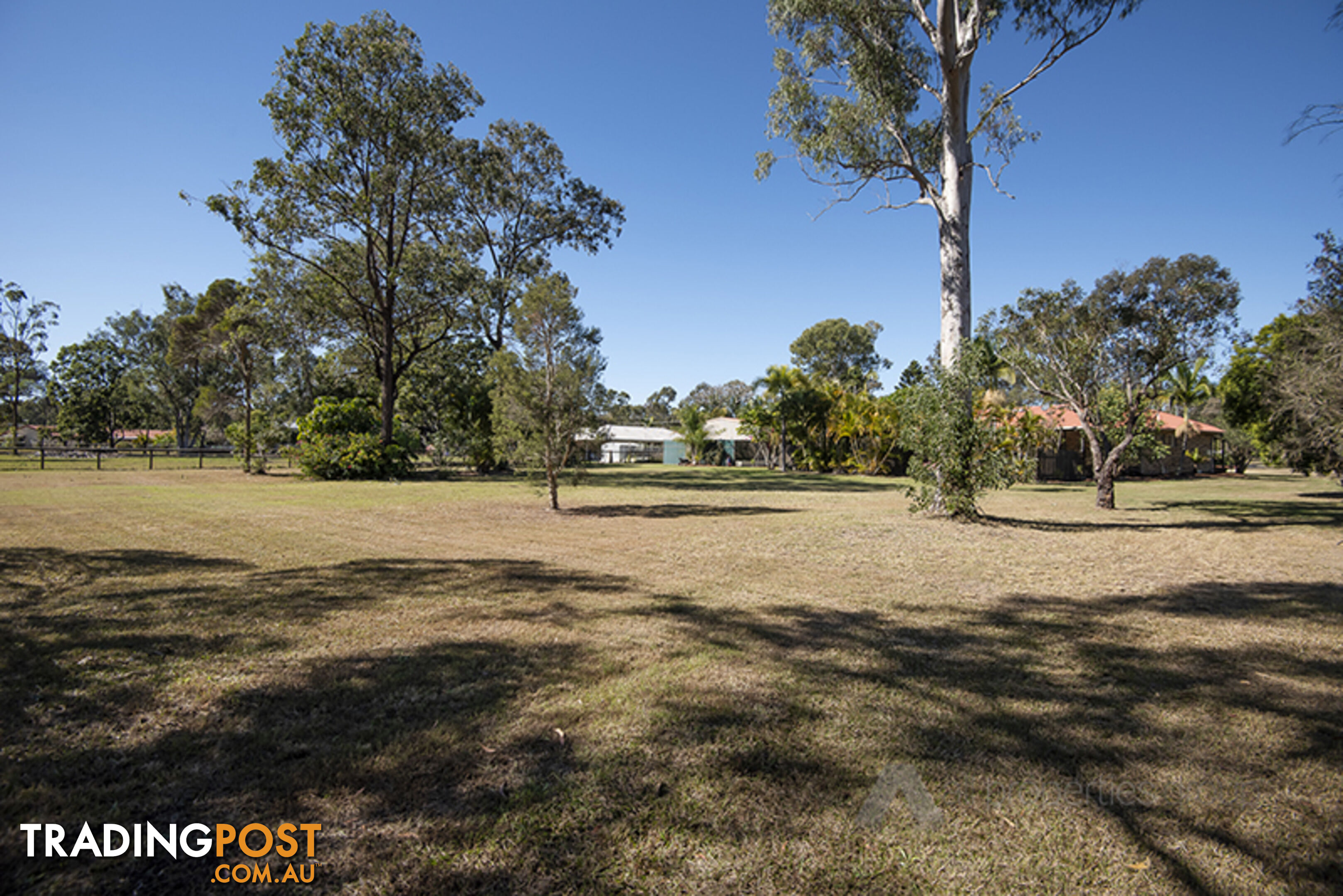 51 Vaughan Drive ORMEAU QLD 4208