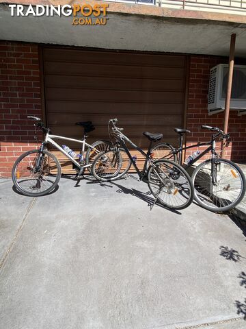 3 Avanti hybrid bikes