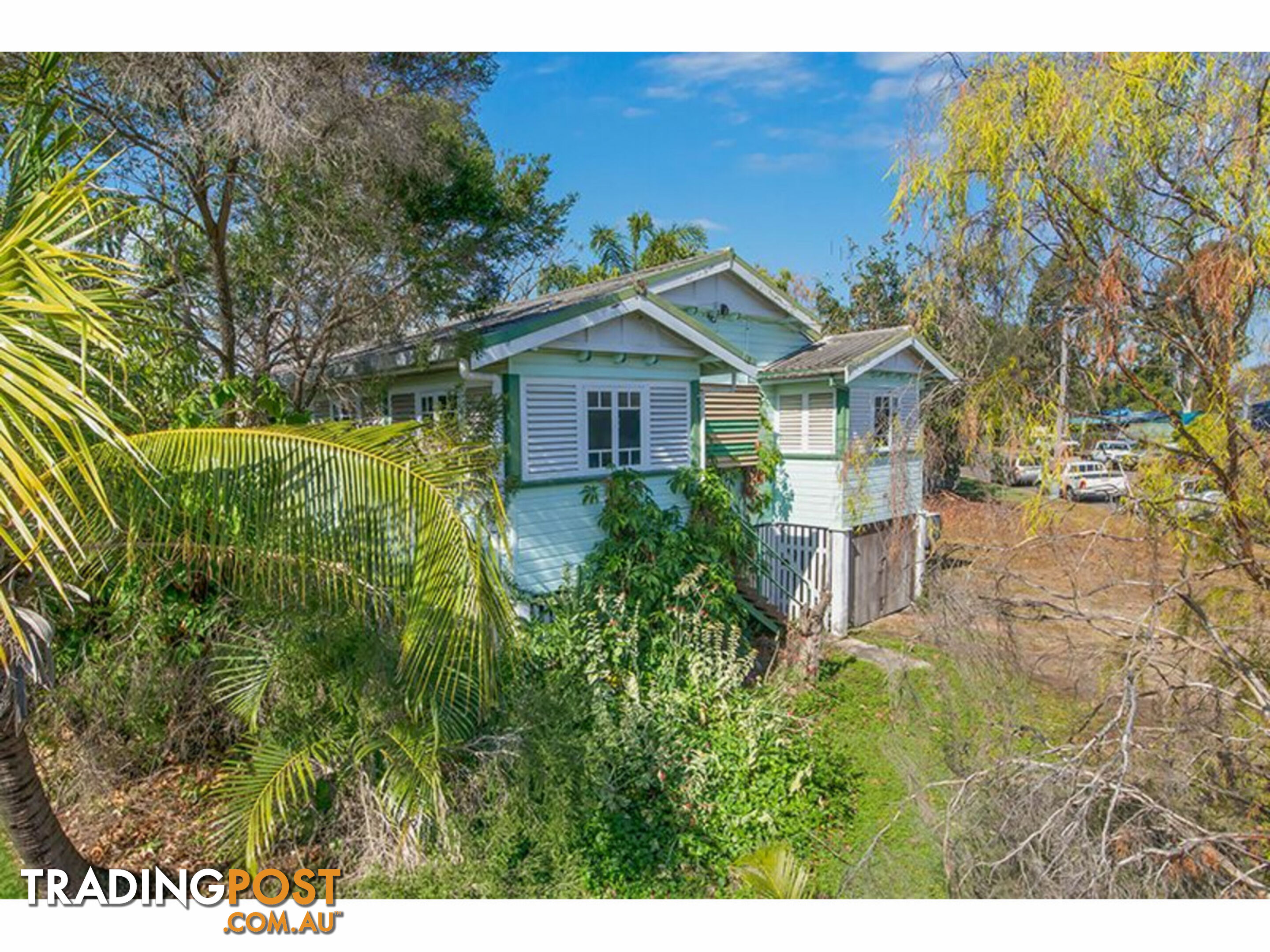 42 McLachlan Street Currajong QLD 4812